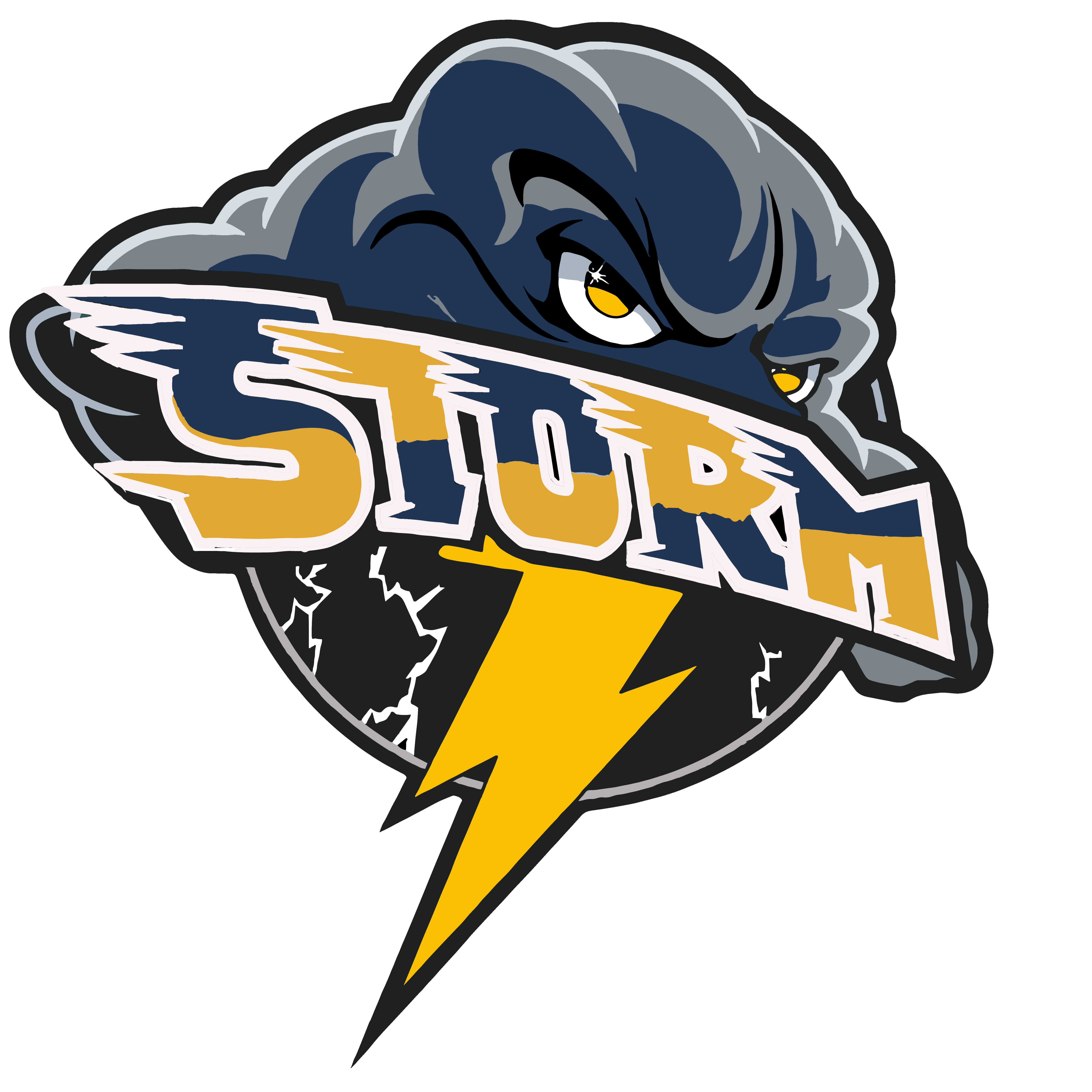 Storm Vóleibol Curacaví